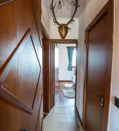 The 2 Bedrooms Paradise Apartment *